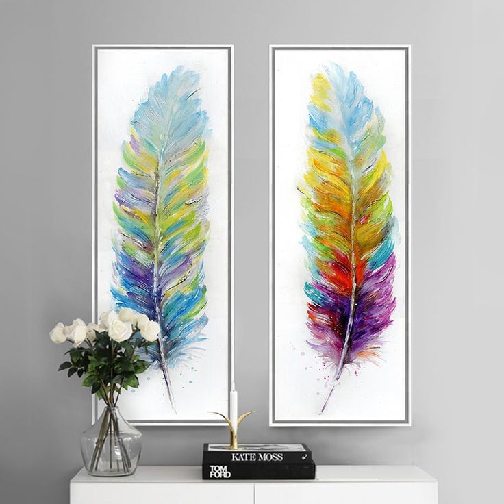Plumes colorés