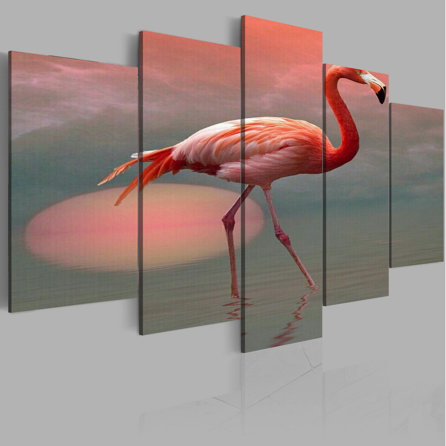 flamant rose