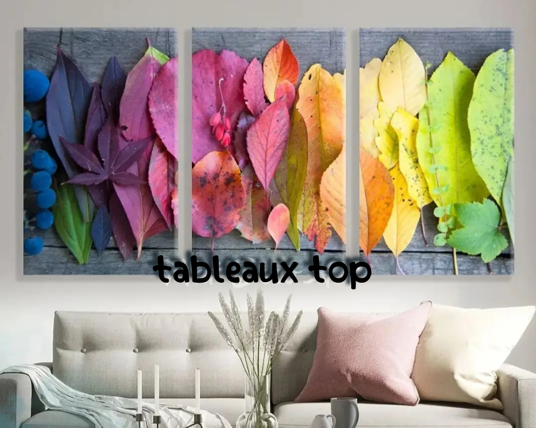 Tableaux modernes