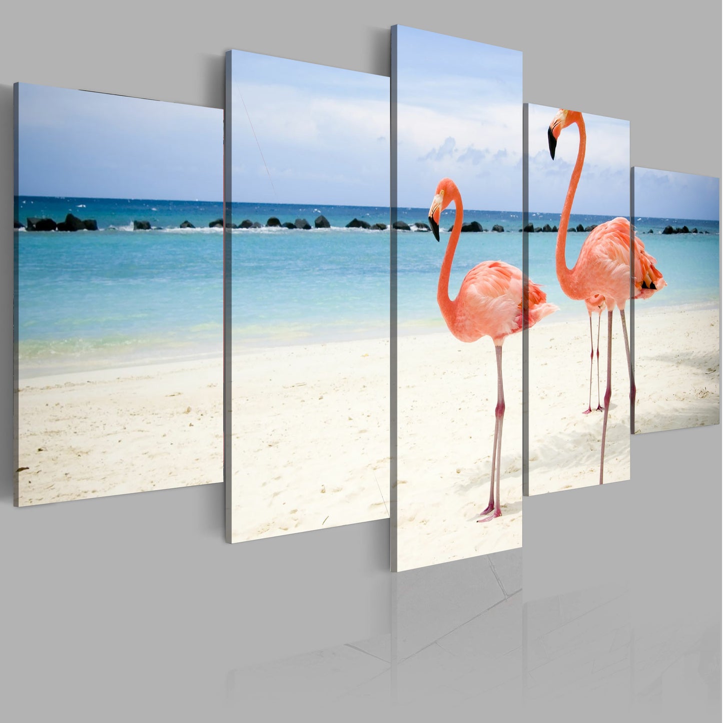 flamants